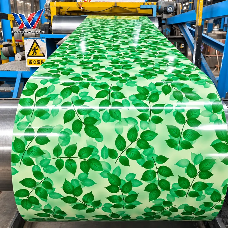 Prepainted Steel Coil - PPGI/PPGL