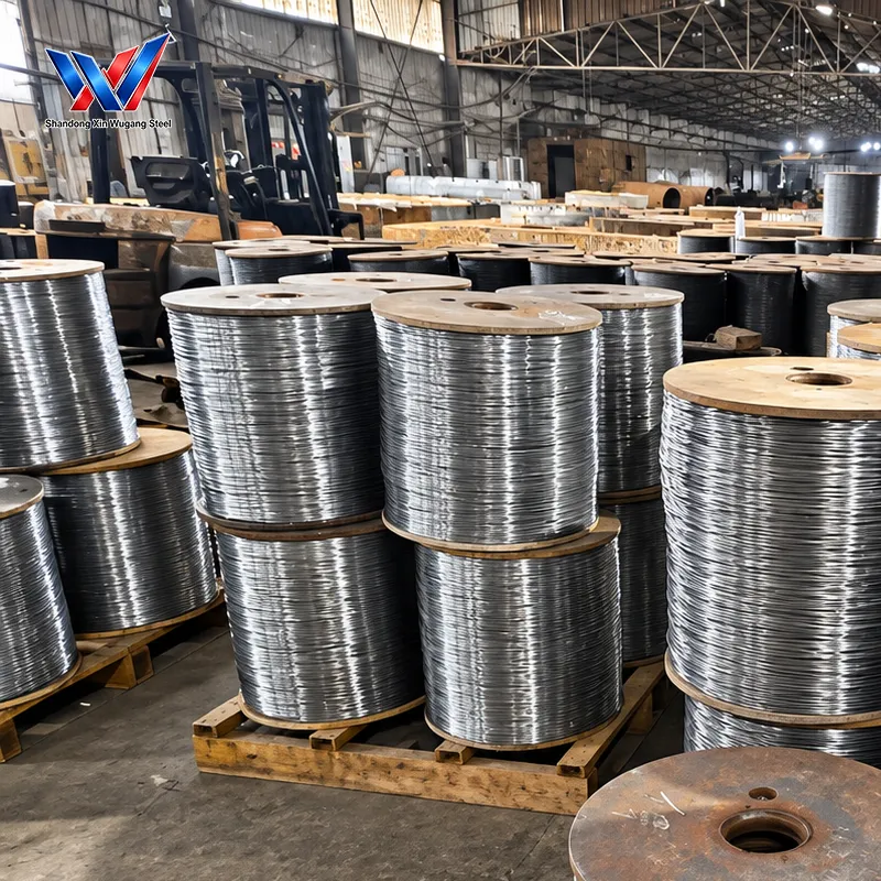 Annealed Steel Wire